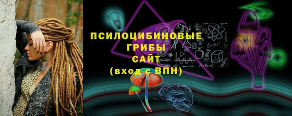 спиды Бронницы