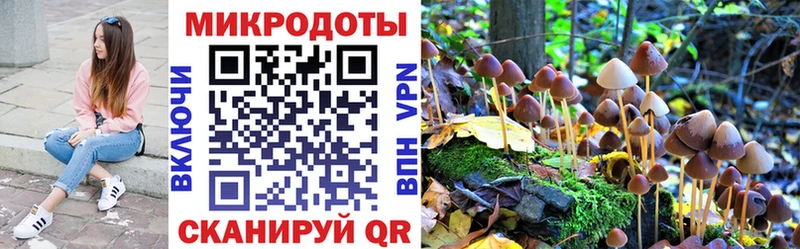 Галлюциногенные грибы мухоморы  kraken вход  Новомичуринск 